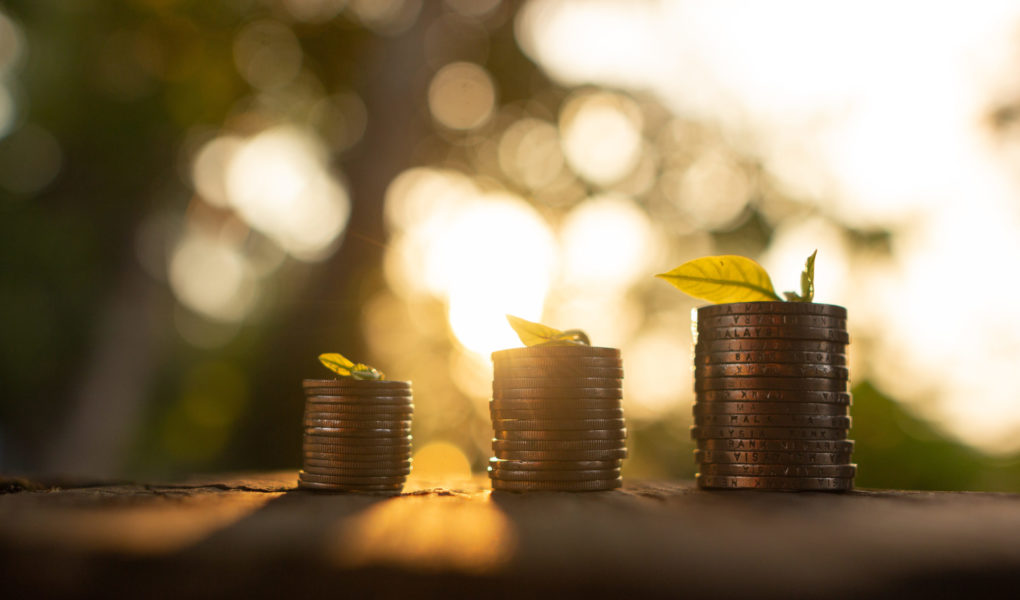 coins with leafs