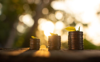 coins with leafs