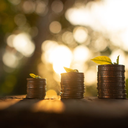 coins with leafs