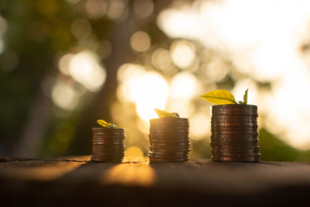 coins with leafs