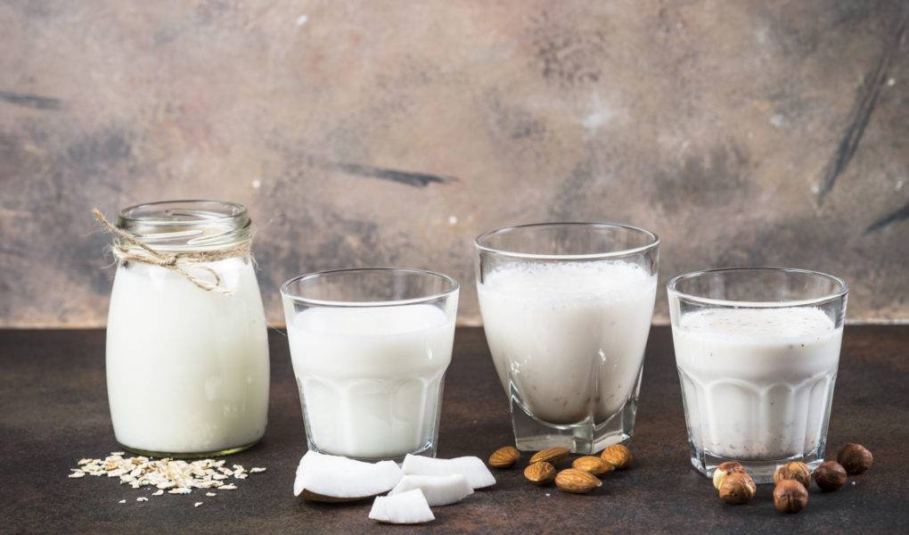Vegan non dairy alternative milk. Coconut, almond, hazelnut, oat homemade milk.