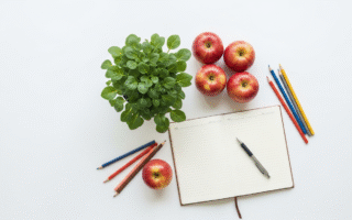 family wellness guide 2026